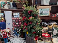 PXL 20251217 212206462