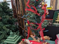 PXL 20251217 212226676