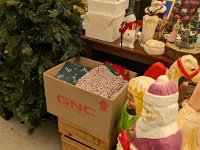 PXL 20251204 192614830