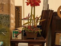 PXL 20251204 192623474