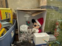 PXL 20251204 192644895