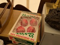 PXL 20251204 192717676