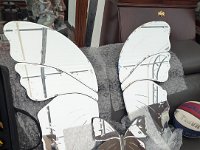 PXL 20260707 172913886