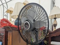 PXL 20260302 185627129