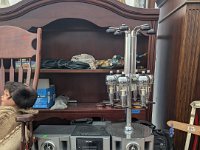 PXL 20251113 140146780.MP