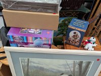 PXL 20251113 202154436.MP