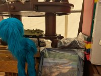 PXL 20251113 202256432