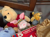 PXL 20251113 202448158