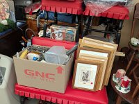 PXL 20251113 202541388