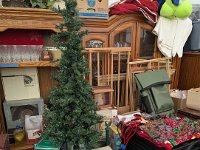 PXL 20251113 202547219.MP