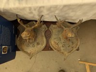 PXL 20251113 202705363