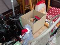 PXL 20251120 205607010