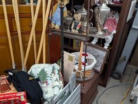 PXL 20251120 205705304