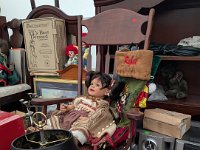 PXL 20251120 205727682