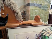 PXL 20251120 205812458