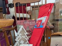 PXL 20251120 205814830