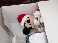 PXL 20251120 205902444