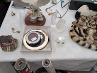 PXL 20251120 210308968