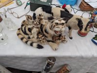 PXL 20251120 210313226