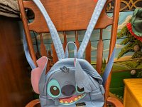 PXL 20251104 174610145