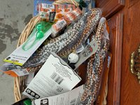 PXL 20251104 183423159