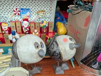 PXL 20251104 183426737