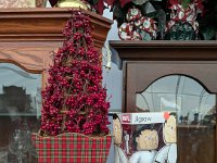 PXL 20251104 183454119