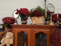 PXL 20251104 183457111