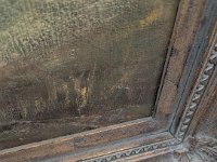 PXL 20250927 123942651