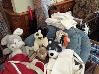 PXL 20250925 165829358