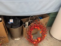 PXL 20250925 165908240